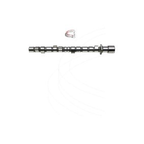 Nockenwelle CP17025 von CAMPRO günstig für 528,63 € online kaufen