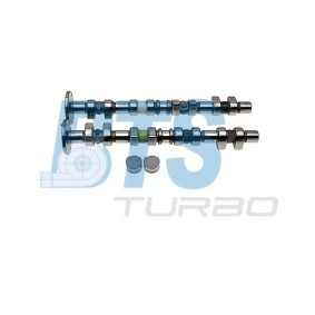 Nockenwellensatz CP61913 von BTS TURBO günstig für 897,55 € online kaufen