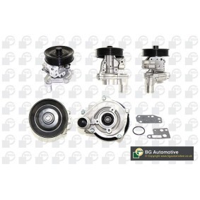 Wasserpumpe CP7098T LTI von BGA