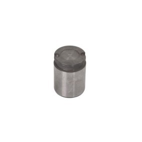 Compre Êmbolo, pinça do travão da LAUBER CQ71382910 a um preço baixo por 15,70 €