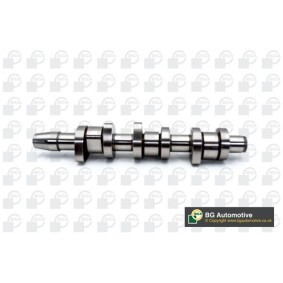 Nockenwelle CS0511 von BGA günstig für 119,48 € online kaufen