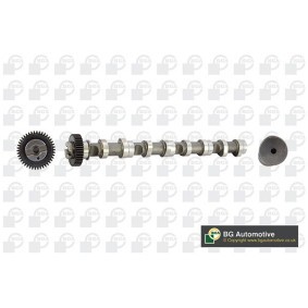 Nockenwelle CS9611 von BGA günstig für 128,46 € online kaufen