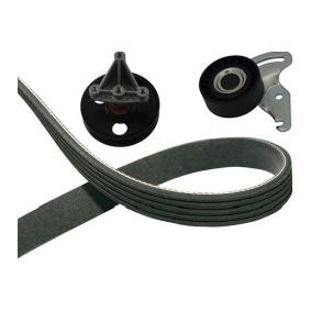 Keilriemensatz für RENAULT von KAVO PARTS