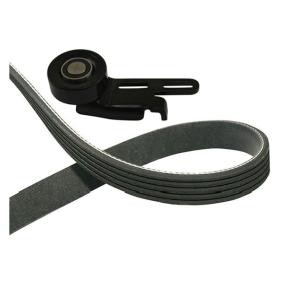 Keilriemensatz DKM-6506 von KAVO PARTS günstig für 67,03 € online kaufen