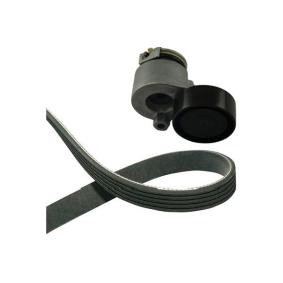 Keilriemensatz für NISSAN von KAVO PARTS