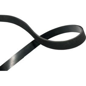 Keilrippenriemen DMV-6556 von KAVO PARTS günstig für 30,09 € online kaufen