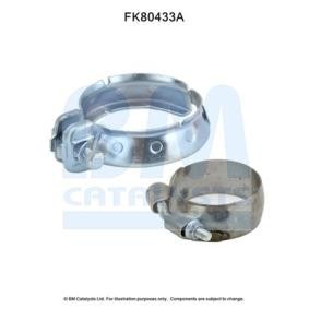 Montagesatz, Katalysator von BM CATALYSTS FK80433