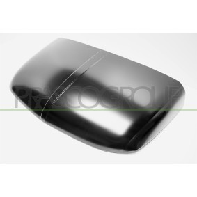 Comprar Puerta del maletero / compartimento de carga de PRASCO FT1213150 a bajo precio de 195,37 €
