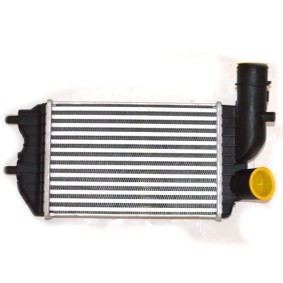 Acquista Intercooler da FAST FT55511 a buon mercato per soli 80,54 €
