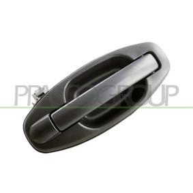 Køb Frontpanel af PRASCO HN8043210OE til den lave pris 4728,00 DKK