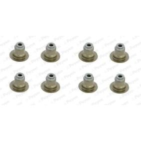 Acquista Kit guarnizioni, Stelo valvola da PAYEN HR5120 a buon mercato per soli 10,28 €