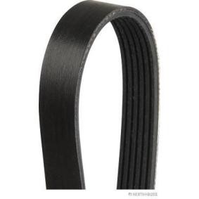 Compre Correia trapezoidal estriada da HERTH+BUSS JAKOPARTS J1061390 a um preço baixo por 10,25 €