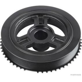 Compre Polia, cambota da HERTH+BUSS JAKOPARTS J1093005 a um preço baixo por 119,05 €
