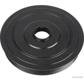 Comprar Polea de cigüeñal de HERTH+BUSS JAKOPARTS J1093009 a bajo precio de 74,47 €