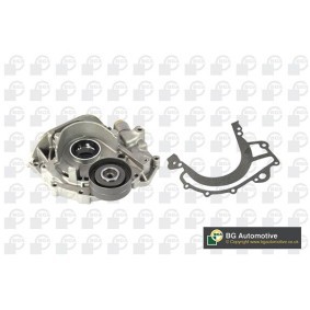 Comprar Bomba de aceite de BGA LP0638 a bajo precio de 102,89 €