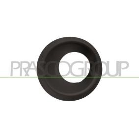 Rahmen, Nebelscheinwerfer LR8021250 LAND ROVER von PRASCO
