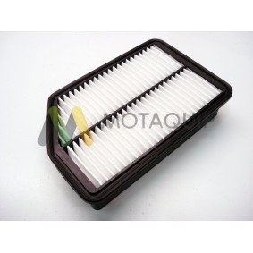 Acquista Filtro aria da MOTAQUIP LVFA1465 a buon mercato per soli 24,33 €