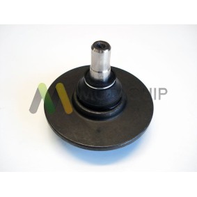 Compre Rótula de suspensão da MOTAQUIP LVSJ927 a um preço baixo por 34,76 €