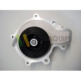 Acquista Pompa acqua da MOTAQUIP LVWP998 a buon mercato per soli 104,38 €