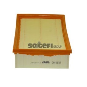 Compre Filtro de combustível da FRAM P5173 a um preço baixo por 16,05 €
