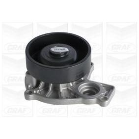 Compre Bomba de água de GRAF online para X2 (F39) a preços moderados