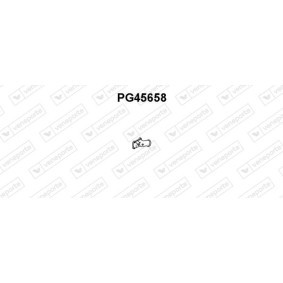 Abgasrohr PG45844 von VENEPORTE günstig für 52,88 € online kaufen