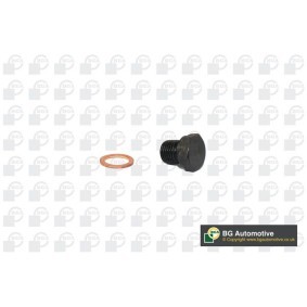 Comprar Tapón roscado, colector de aceite de BGA PK0100 a bajo precio de 3,81 €