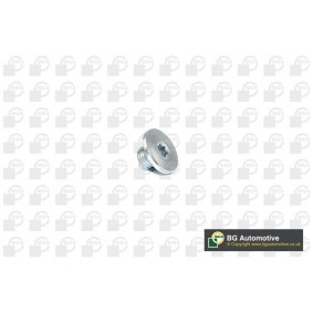 Acquista Vite di chiusura, vaschetta dell'olio da BGA PK2200 a buon mercato per soli 5,38 €