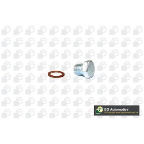 Acquista Vite di chiusura, vaschetta dell'olio da BGA PK9500 a buon mercato per soli 6,11 €