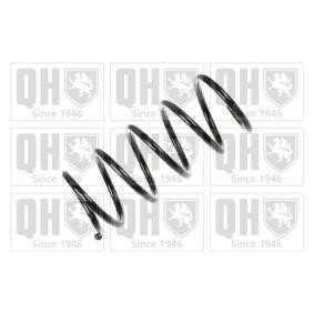 Compre Molas de QUINTON HAZELL online para Panda Hatchback (141_) a preços moderados