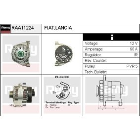 Lichtmaschine RAA11224 von DELCO REMY günstig für 136,34 € online kaufen