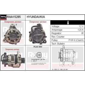 Lichtmaschine RAA15285 von DELCO REMY günstig für 201,78 € online kaufen