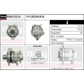 Lichtmaschine RAA15314 von DELCO REMY günstig für 216,78 € online kaufen