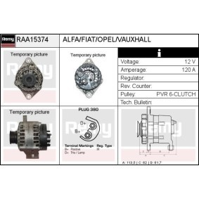 Lichtmaschine RAA15374 von DELCO REMY günstig für 184,00 € online kaufen