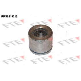 Acquista Pistoncino pinza freno da FTE RKS8619012 a buon mercato per soli 76,12 €
