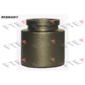 Køb Stempel, bremsekaliper af FTE RKS8645017 til den lave pris 170,86 DKK