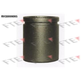 Achetez des Piston, étrier de frein FTE RKS8699065 à prix pour 23,19 €