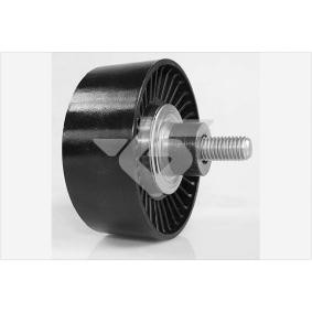 Umlenk- / Führungsrolle, Keilrippenriemen T0541 von HUTCHINSON günstig für 39,55 € online kaufen