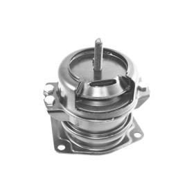 Motorlager TED55411