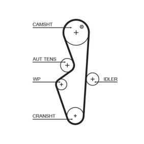 Acquista Cinghia dentata da GATES 5617XS a buon mercato per soli 64,51 €