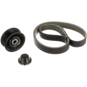Acquista Smorzatore vibrazioni, Cinghia Poly-V da GATES T39111 a buon mercato per soli 80,71 €
