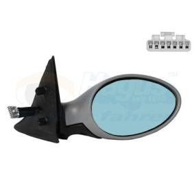 Außenspiegel 0156818 von VAN WEZEL günstig für 83,98 € online kaufen