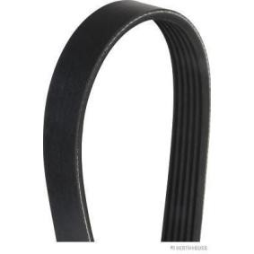 Compre Correia trapezoidal estriada da HERTH+BUSS JAKOPARTS J1060905 a um preço baixo por 7,78 €