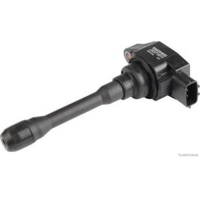 Acquista Unità bobina d'accensione da HERTH+BUSS JAKOPARTS J5371011 a buon mercato per soli 172,17 €