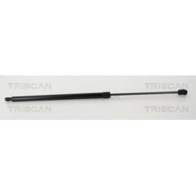 Heckklappendämpfer 8710 50264 von TRISCAN günstig für 40,27 € online kaufen