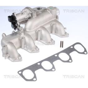 AGR-Ventil für FORD von TRISCAN