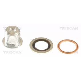 Acquista Vite di chiusura, vaschetta dell'olio da TRISCAN 9500 1003 a buon mercato per soli 6,88 €