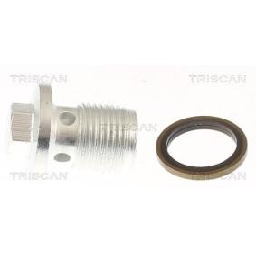 Acquista Vite di chiusura, vaschetta dell'olio da TRISCAN 9500 2406 a buon mercato per soli 4,17 €