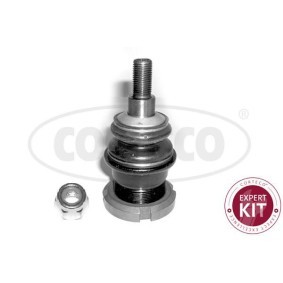 Traggelenk 49398993 von CORTECO günstig für 23,62 € online kaufen
