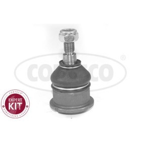 Traggelenk 49399251 von CORTECO günstig für 13,99 € online kaufen